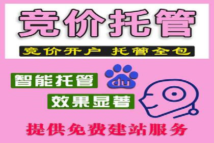 百度推广竞价下的营销创新：某公司的成功经验分享